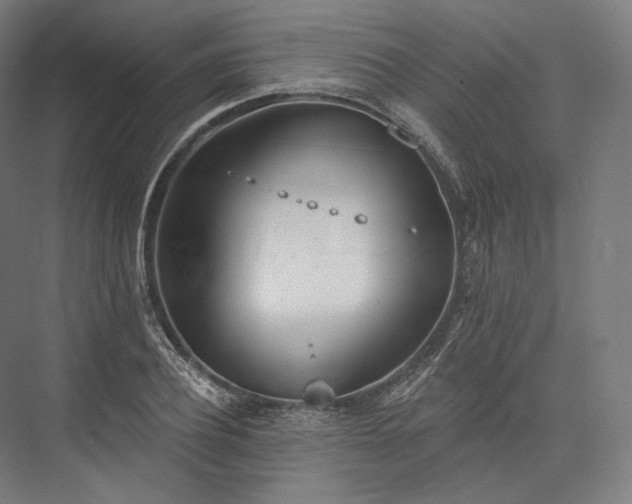 X0000076380932200610061121