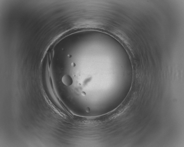 X0000076380933200610061121