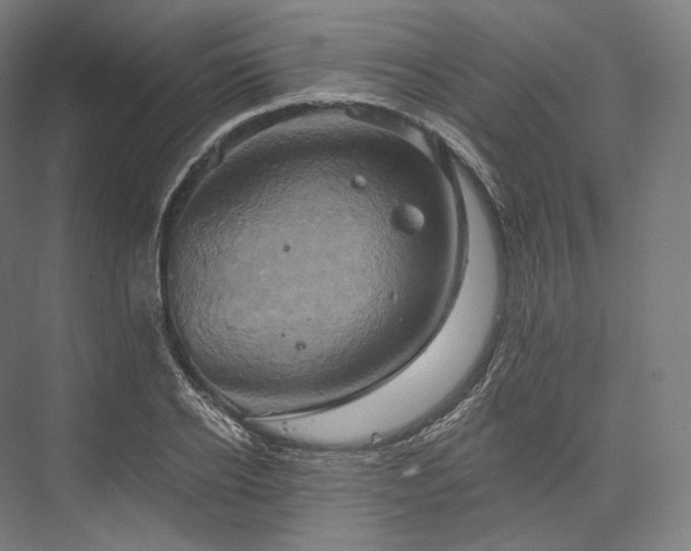 X0000076380934200610061121