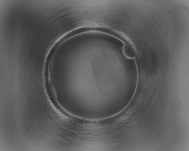 X0000076380935200610061121