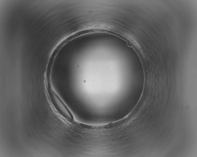 X0000076380936200610061121