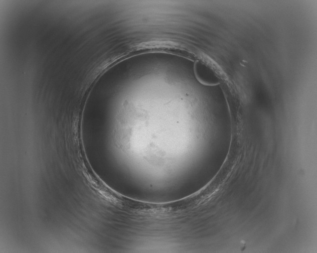 X0000076380937200610061121