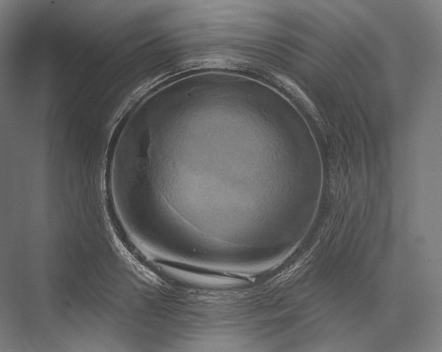 X0000076380938200610061121