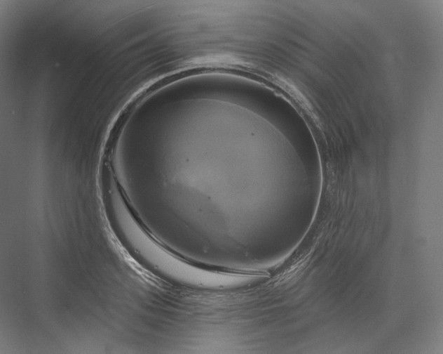 X0000076380939200610061121