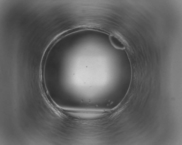 X0000076380940200610061121