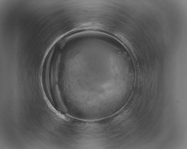 X0000076380941200610061121