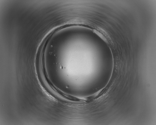 X0000076380942200610061121