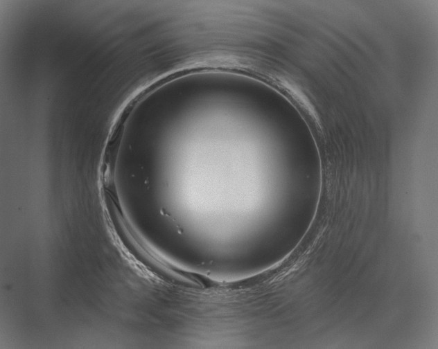 X0000076380944200610061121