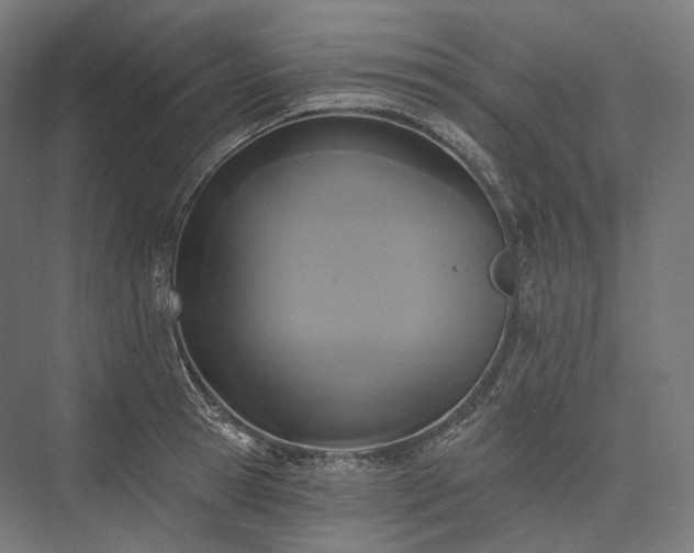 X0000076380945200610061121