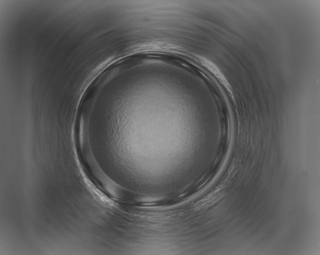 X0000076380946200610061121