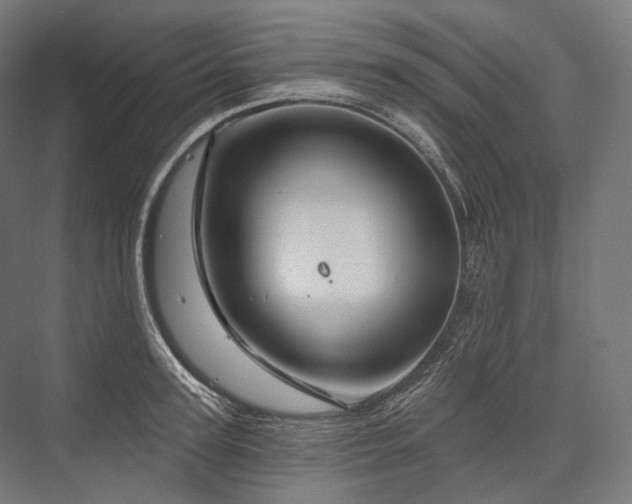 X0000076380947200610061121