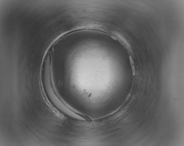 X0000076380948200610061121