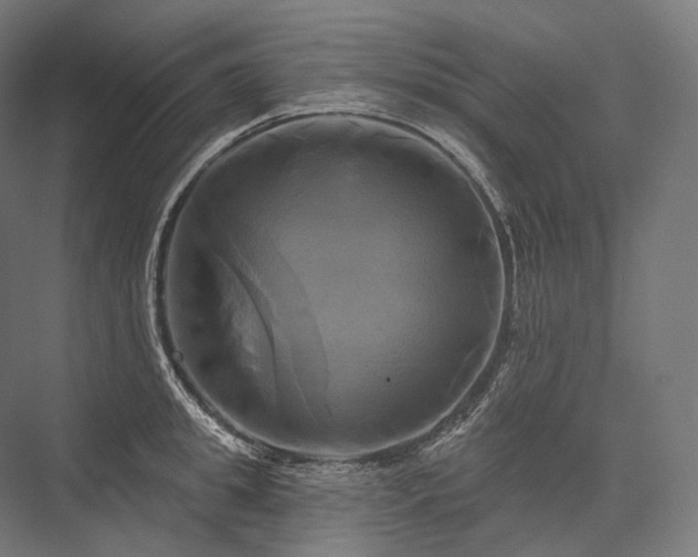 X0000076380949200610061121