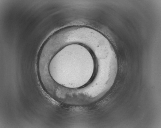 X0000076380950200610061121