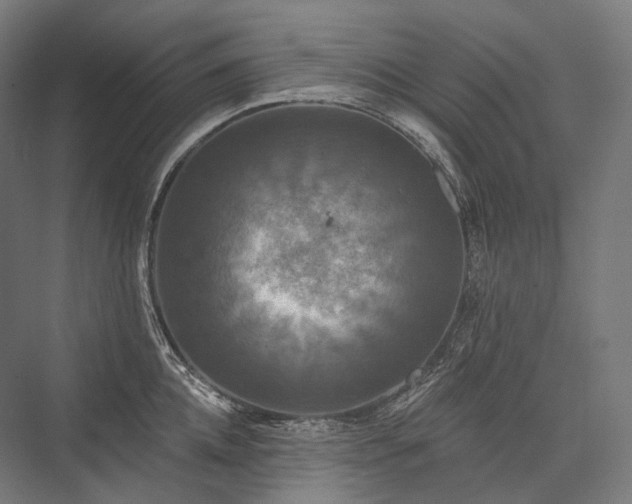 X0000076380952200610061121