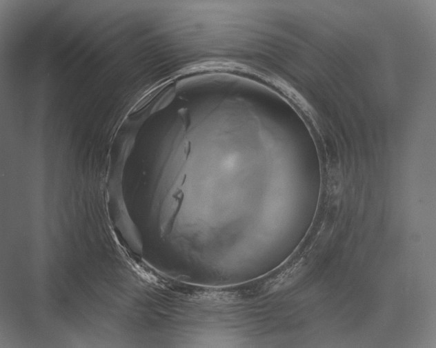 X0000076380953200610061121