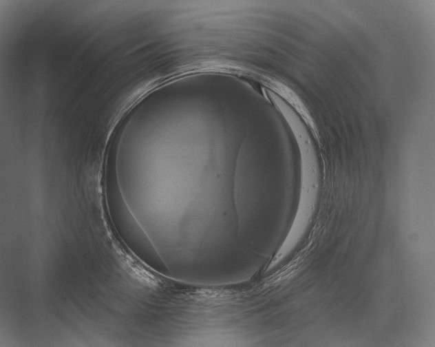 X0000076380954200610061121