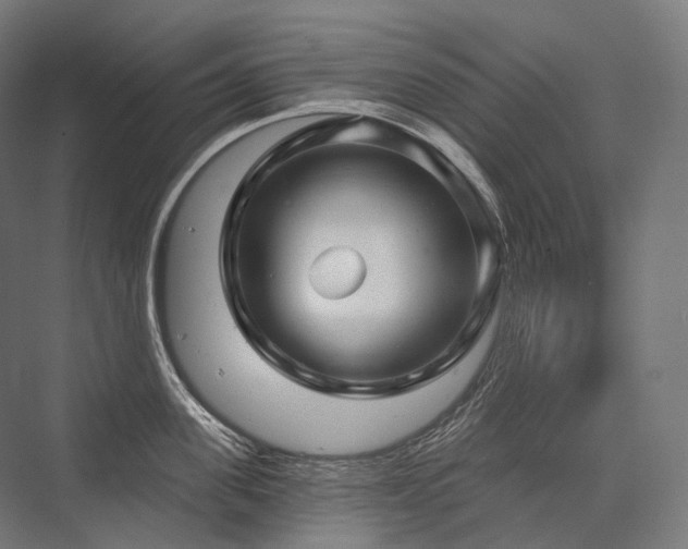 X0000076380955200610061121