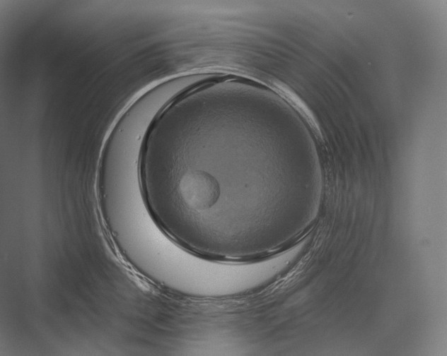 X0000076380956200610061121