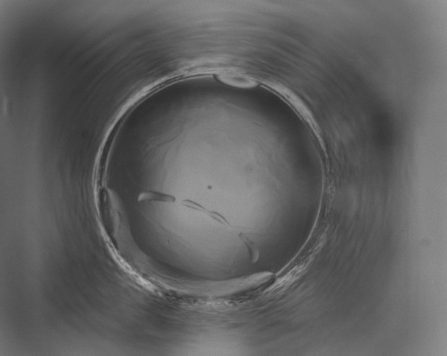 X0000076380957200610061121