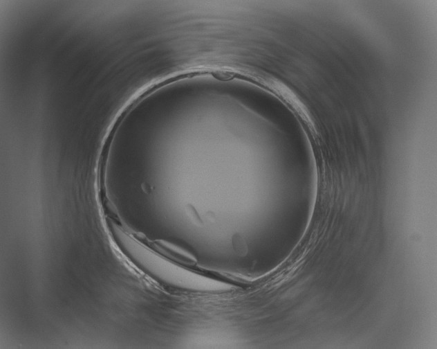 X0000076380958200610061121