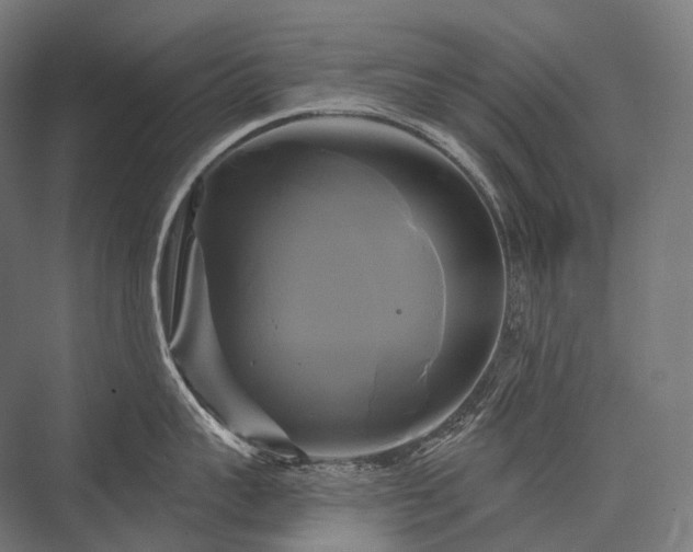 X0000076380959200610061121