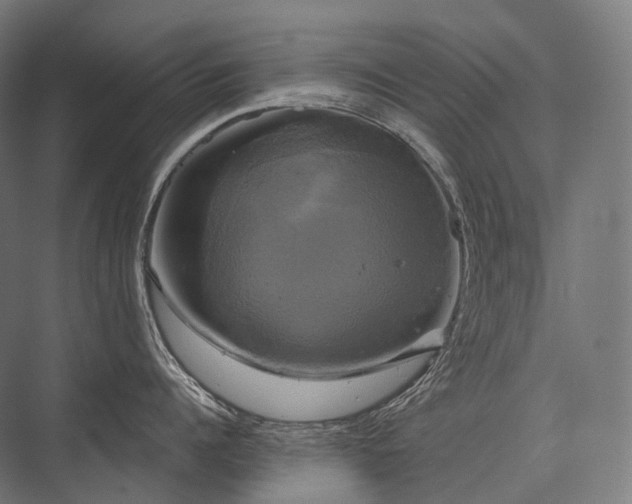 X0000076380960200610061121