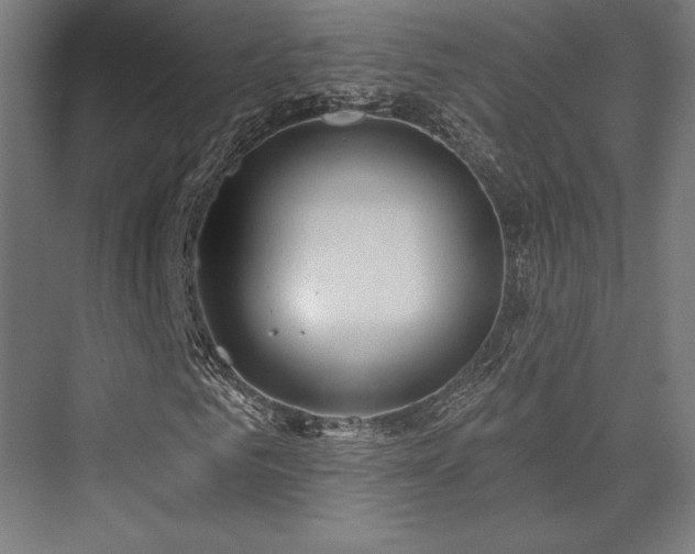 X0000076380961200610061120