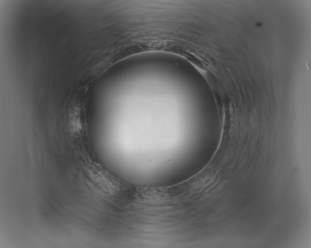 X0000076380962200610061120