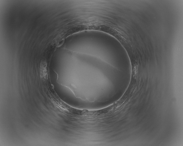 X0000076380963200610061120