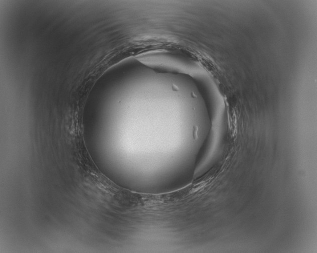 X0000076380965200610061120