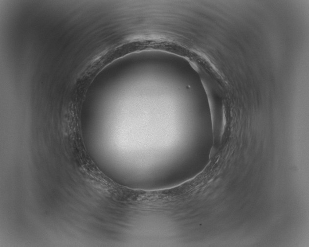 X0000076380967200610061120