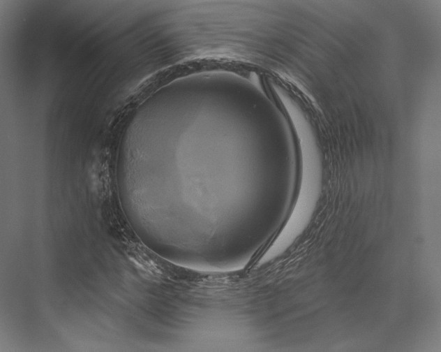 X0000076380968200610061120