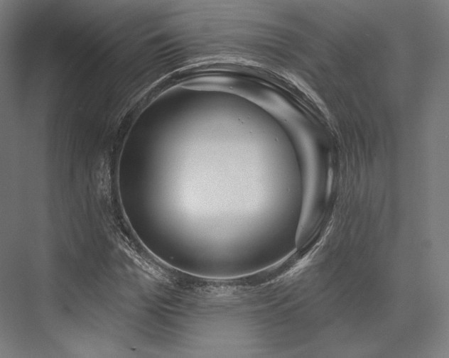 X0000076380969200610061120