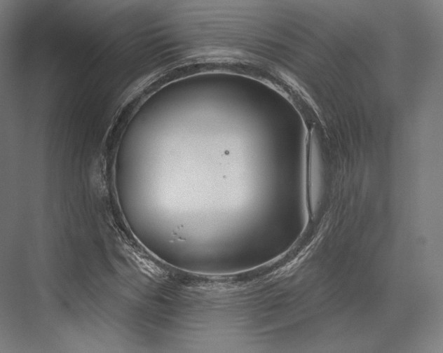 X0000076380970200610061120