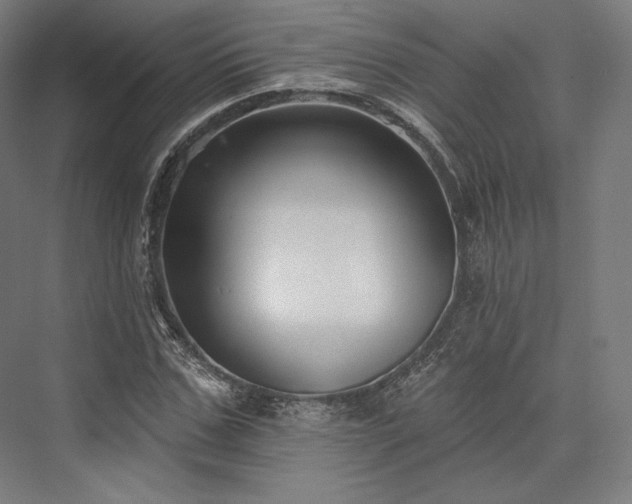 X0000076380971200610061120