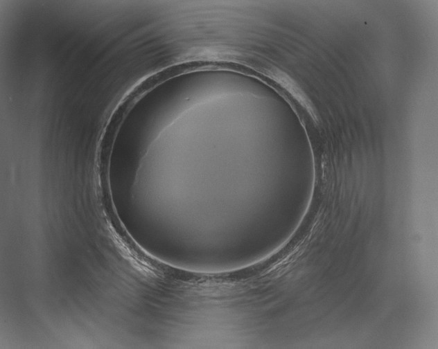 X0000076380972200610061120