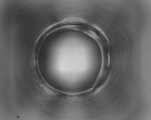 X0000076380973200610061120