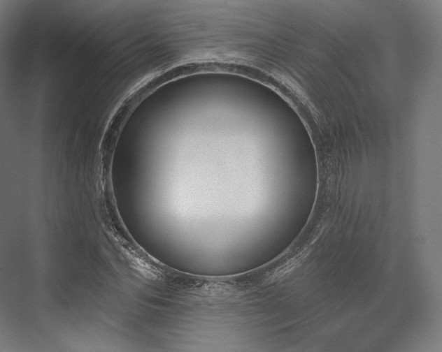 X0000076380974200610061120