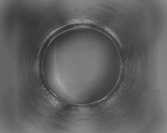 X0000076380975200610061120