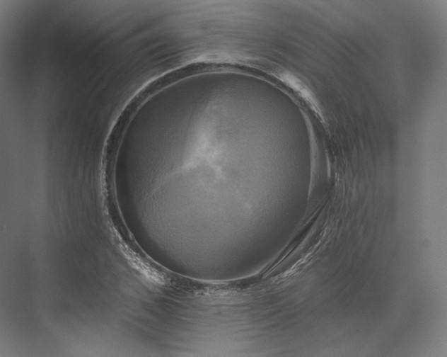 X0000076380976200610061120