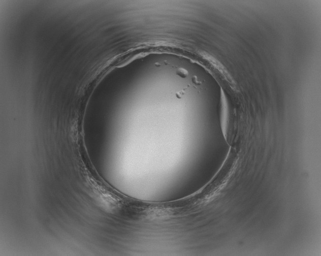 X0000076380977200610061120