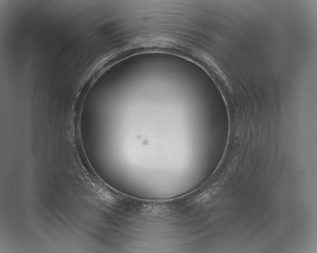 X0000076380978200610061120