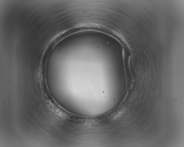 X0000076380979200610061120