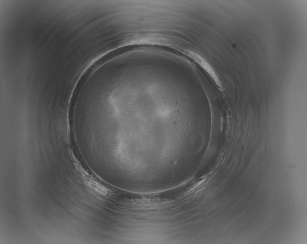 X0000076380980200610061120