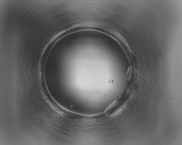 X0000076380981200610061120