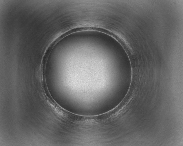 X0000076380982200610061120