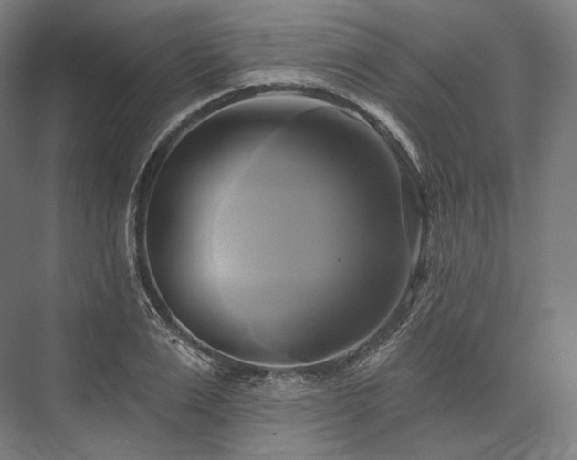 X0000076380983200610061120