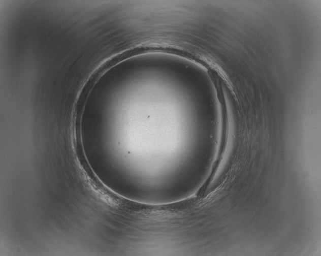 X0000076380984200610061120