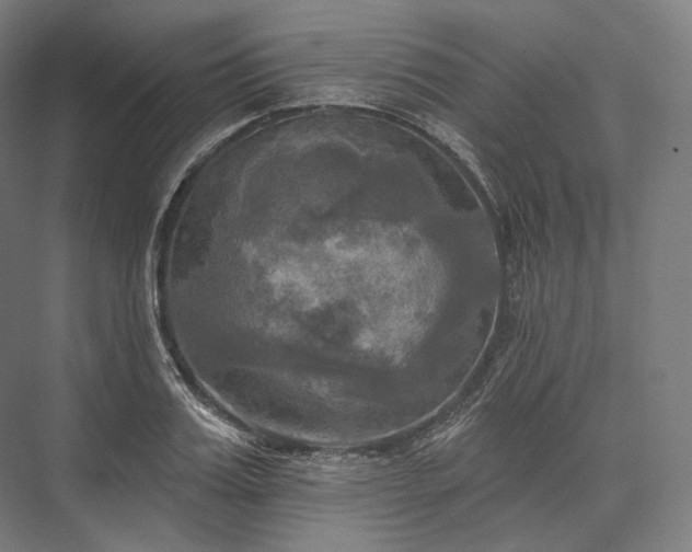 X0000076380987200610061120